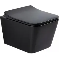 Унитаз подвесной GID Tr2144Bm безободковый, с сиденьем микролифт, черный матовый