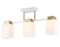 Люстра на штанге Ambrella Light TR TR303045