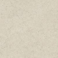 Italon Керамический гранит Forum Керамогранит Stone Pure 80x80 натуральный