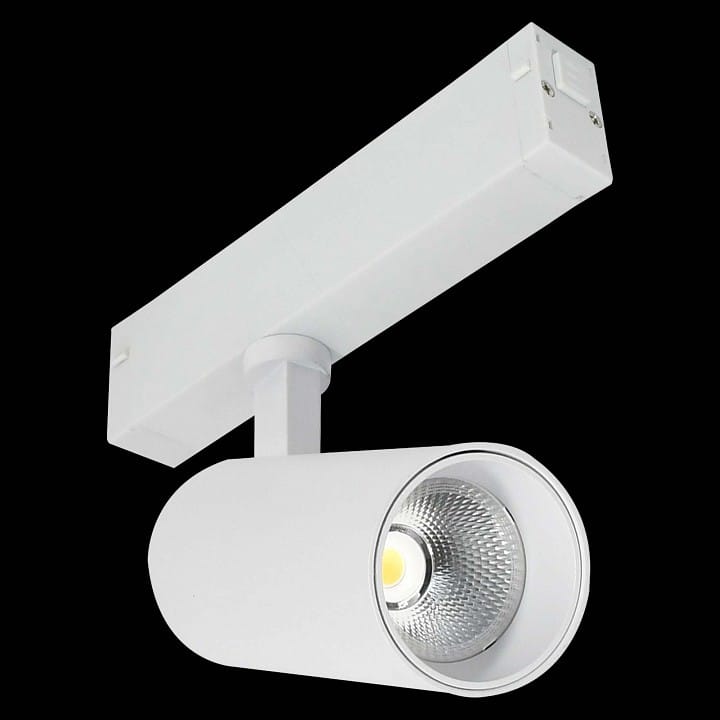 Светильник на штанге ST-Luce SKYLINE 220 ST660.596.10H