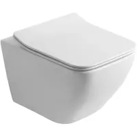 Унитаз подвесной Olive’S Artis AR30116DP безободковый, с сиденьем микролифт, белый