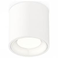 Накладной светильник Ambrella Light XS XS7531010