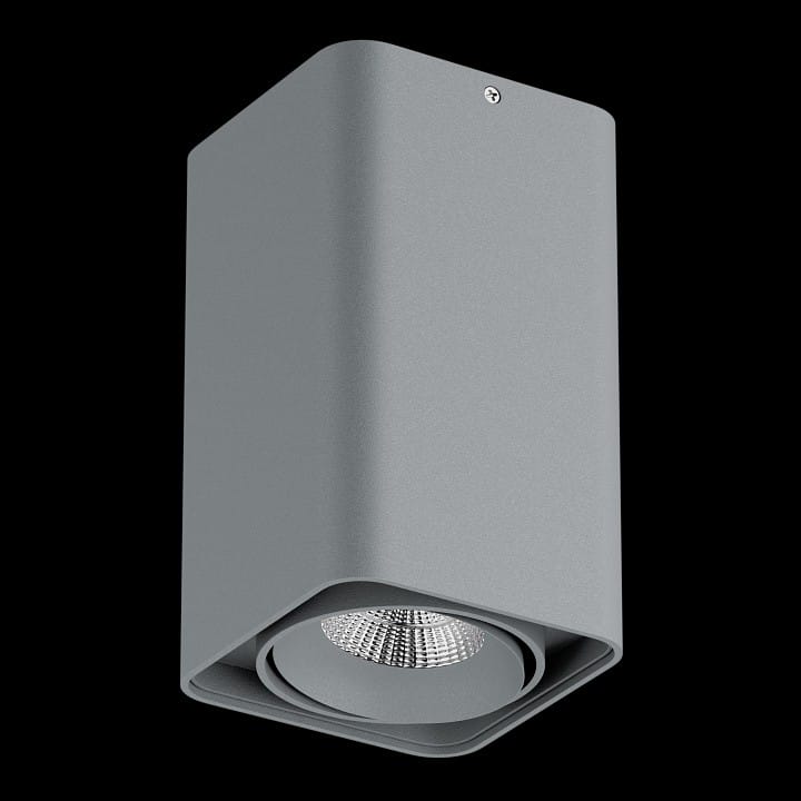 Накладной светильник Lightstar Monocco 052139