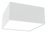 Накладной светильник Maytoni Technical Зон C032CL-12W3K-SQ-W