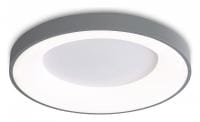 Накладной светильник Ambrella Light FZ FZ1402