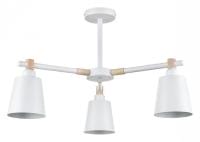 Люстра на штанге Lumion Rosalina 8097/3C