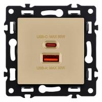 Розетка 2хUSB type A и C без рамки Kollinger Asthetik AS-024GD