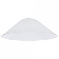 Плафон стеклянный Citilux Эдисон CL450.12