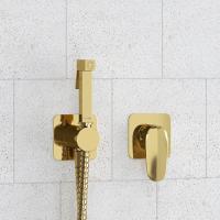 Гигиенический душ WasserKRAFT Neckar A2151.280.238.216 золото