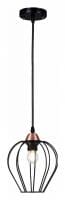 Подвесной светильник ILLUMICO  IL2001-1PA-05 BK ROSE GD