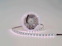 Лента светодиодная SWG SWG-CL560 00-00009900