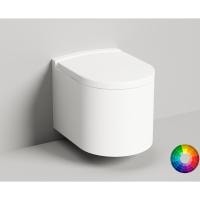 Подвесной унитаз Salini Gemelli 240121KMF крышкой-сиденьем RAL снаружи