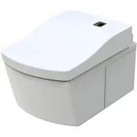 Электронный унитаз-биде подвесной Toto Neorest AC 2.0 CW996PVD#NW1 + TCF996RWG#NW1 безободковый, с сиденьем микролифт, белый