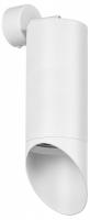 Спот Lightstar Rullo RB648686