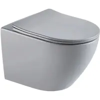 Унитаз подвесной GID Tr2122TF-Lgm безободковый, торнадо, с сиденьем микролифт, серый матовый