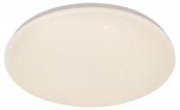 Накладной светильник Escada  10213/SG LED