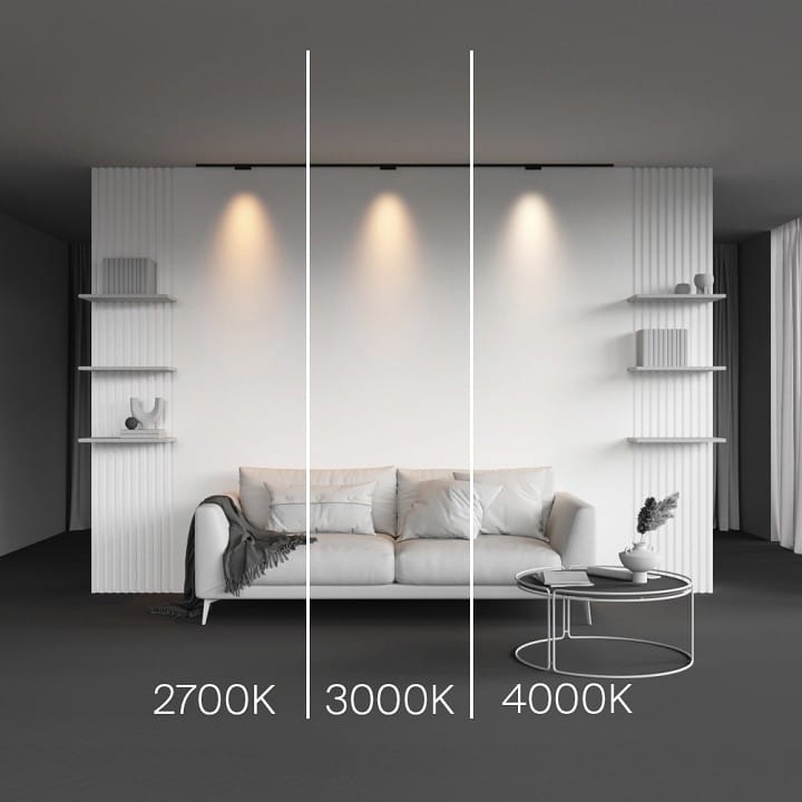 Накладной светильник Maytoni Technical Точки TR193-1-5W4K-M-B