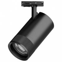 Светильник на штанге Lightstar Canno Pro C4407SS