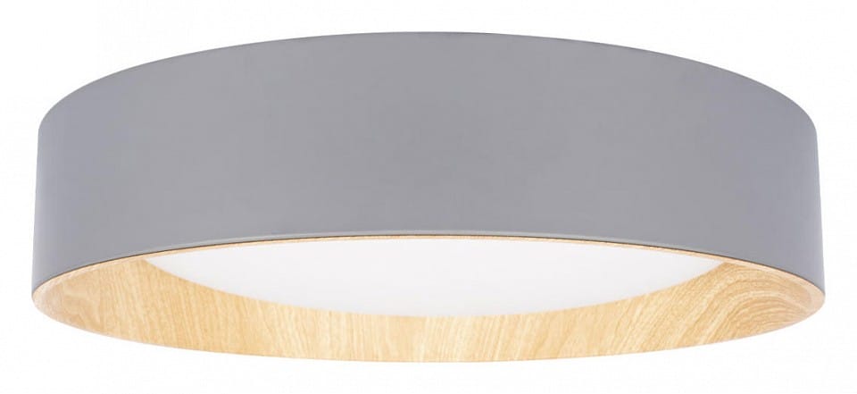 Накладной светильник Loft it Coin 10202 Grey