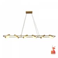 Подвесной светильник Favourite Abris 4677-6P