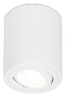 Накладной светильник Ambrella Light TN TN225