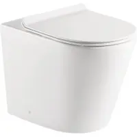 Приставной безободковый унитаз BelBagno Flay-R BB1003CBR