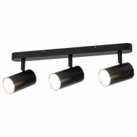 Спот Эра OL35-3 BK