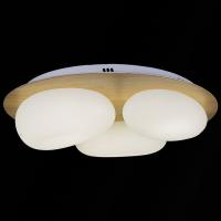 Потолочная люстра Reluce  10009-0.3-60W AEROLITE
