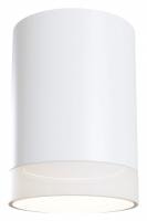 Накладной светильник Maytoni Pauline C008CW-01W