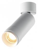 Светильник на штанге Maytoni Technical Фокус Зум C055CL-L12W2.7K-Z-W