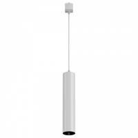 Подвесной светильник Maytoni Technical Фокус TR025-1-GU10-W