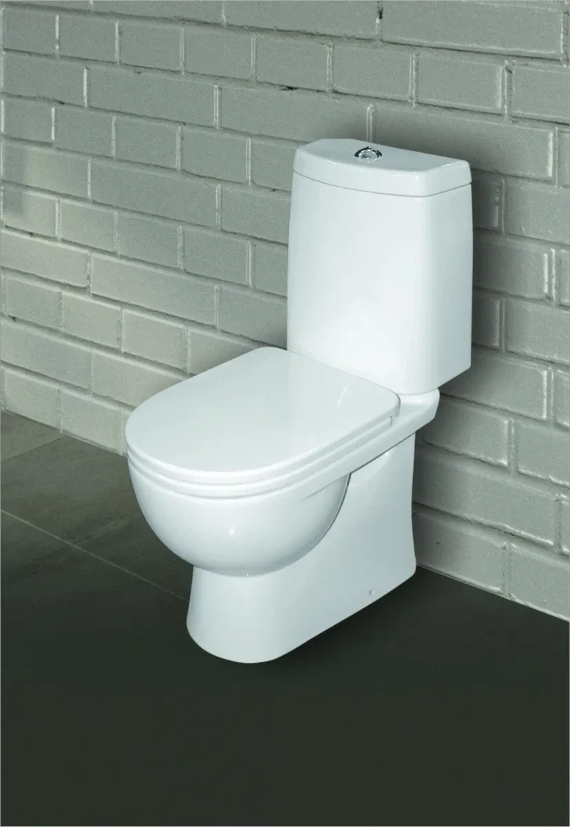 Унитаз-компакт с сиденьем микролифт Sanita Luxe Fest WC.CC/Fest/2-DM/WHT.G/S1
