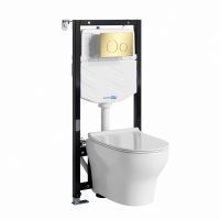 Аллер (Aller) 10TLT.010.ME.PG02.H001 Система инсталяции с унитазом