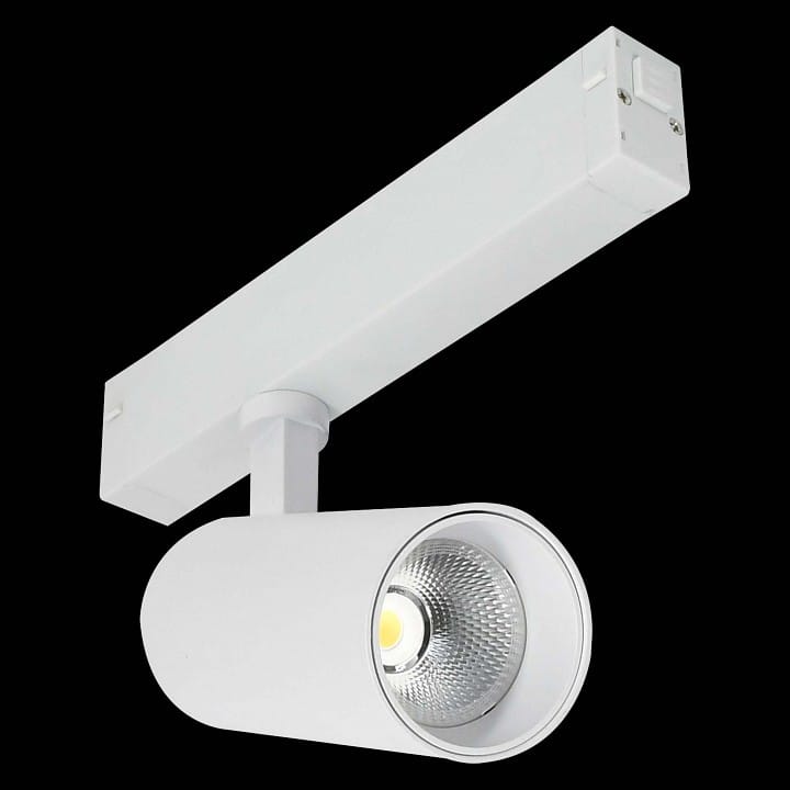 Светильник на штанге ST-Luce SKYLINE 220 ST660.596.20H