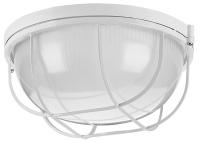 Накладной светильник Wolta ДПБ03-100-002