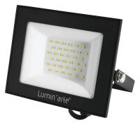 Настенно-потолочный прожектор Luminarte LFL-50W LFL-50W/06