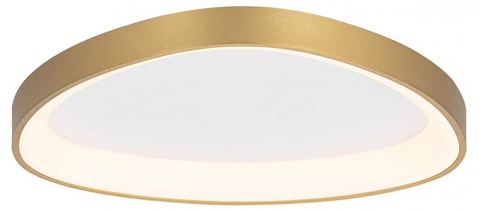 Накладной светильник Citilux GENKA SMART CL756A142