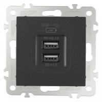 Розетка USB без рамки Arte Milano am-206 206.46-1.black