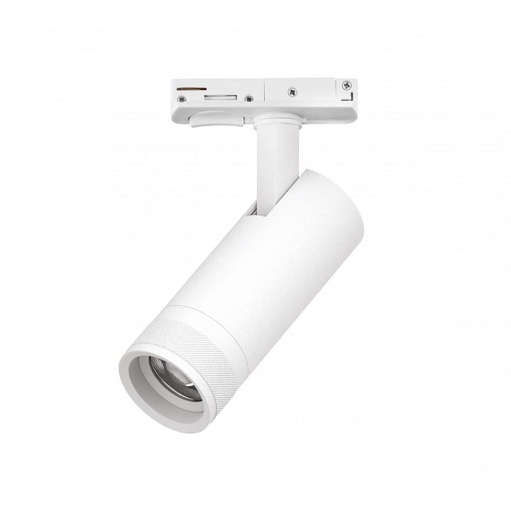 Светильник на штанге Lightstar Canno Pro C4126SS