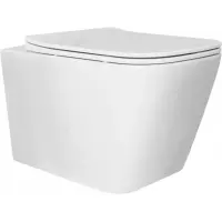 Унитаз подвесной Rea Raul REA-C9660 безободковый, с сиденьем микролифт, белый