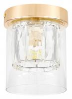 Накладной светильник Lampit DENI TC 2020-1 FGD