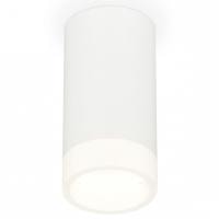 Накладной светильник Ambrella Light XS XS8161002