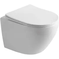 Унитаз подвесной Olive’S Plaza PL30116DP безободковый, с сиденьем микролифт, белый