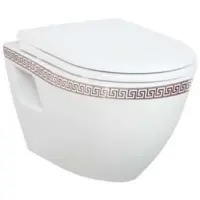 Унитаз подвесной Creavit Terra TP325.000W0 с функцией биде, белый/золото