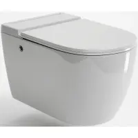 Унитаз подвесной Grossman GR-5502 импульсный, с сиденьем микролифт, белый