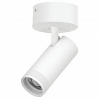 Спот Lightstar Canno Pro C4206SO