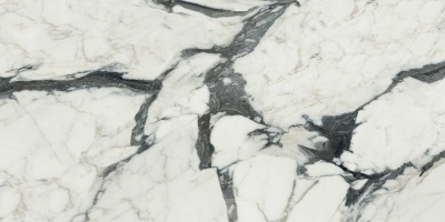 FLORIM-Luxury (Rex) Les Bijoux de Rex Керамогранит Calacatta Altissimo Blanc 60x120 полированный