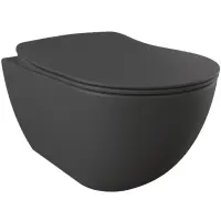 Унитаз подвесной Creavit Free FE320-00AM00E-0000 с функцией биде, антрацит матовый