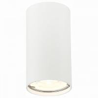 Накладной светильник ST-Luce Simplus ST110.507.01