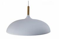 Подвесной светильник Moderli Hygo V11447-1P